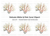 Realistic Coral Reef Graphic Clipart Bundle