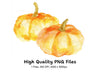Hand Painted Pumpkins Clipart Bundle