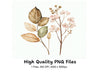 Autumn Leaves Flowers Clipart Bundle