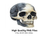 Side View Skull Clipart Bundle
