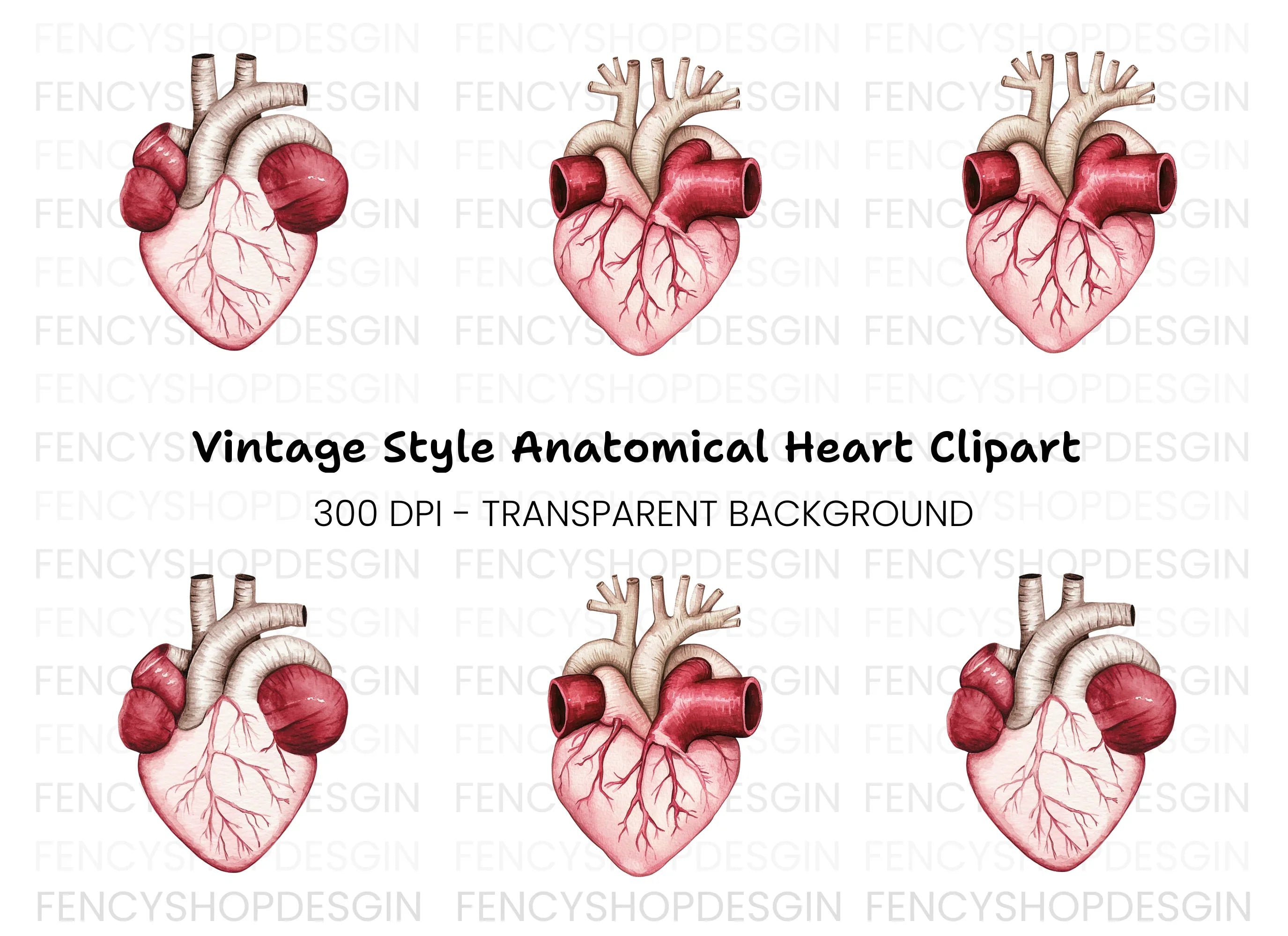Detailed Human Heart Anatomy Clipart Bundle