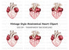 Detailed Human Heart Anatomy Clipart Bundle