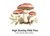 Earthy Toned Mushroom Clipart Bundle