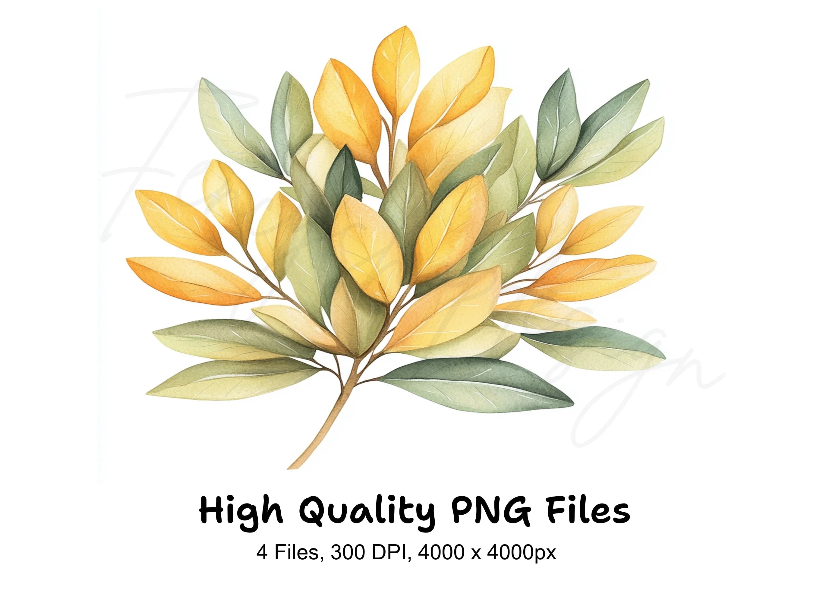Yellow Floral Leaf Clipart Bundle