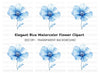 Blue Anemone Flower Clipart Bundle