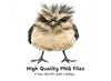 Expressive Little Bird Clipart Bundle
