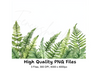 Fern Border Clipart Bundle