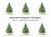 Pine Tree Clipart Bundle