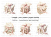 Vintage Love Letters Clipart Bundle