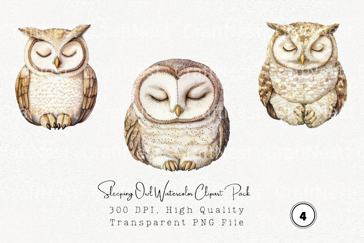 Sleeping Owl Clipart Bundle