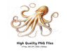 Octopus Illustrations Clipart Bundle