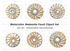 Vintage Ammonite Shell Clipart Bundle