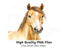Majestic Palomino Horse Head Clipart Bundle