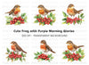 Robins Berries Clipart Bundle