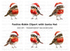 Festive Robin Birds with Santa Hats Clipart Bundle