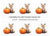 Cute Fox with Pumpkin Autumn Clipart Bundle