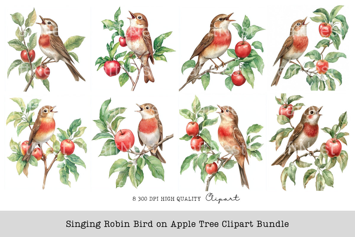 Singing Robin Bird On Apple Tree Clipart Bundle
