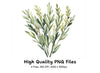 Greenery Branches Clipart Bundle