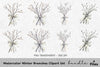 Winter Branches Clipart Bundle