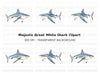 Realistic Shark Clipart Bundle
