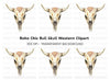 Rustic Bull Skull Clipart Bundle