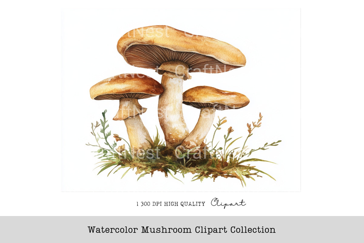 Mushroom Clipart Bundle