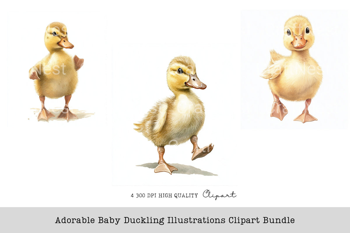 Adorable Baby Duckling Illustrations Clipart Bundle