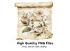 Vintage Floral Scroll Clipart Bundle