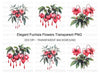 Fuchsia Flower Clipart Bundle
