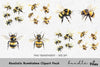 Realistic Bumblebee Clipart Bundle