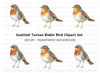 Charming Robin Bird Clipart Bundle