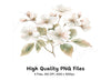 Delicate White Cherry Blossom Clipart Bundle