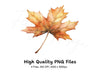 Autumn Maple Leaves Clipart Bundle