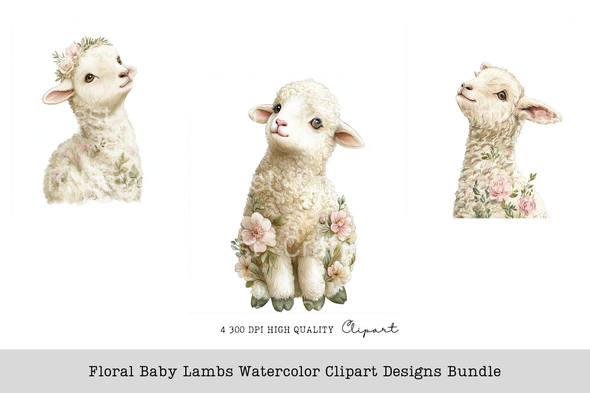 Floral Baby Lambs Designs Clipart Bundle