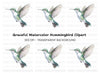 Hummingbird Clipart Bundle