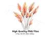 Pampas Grass Clipart Bundle