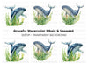 Humpback Whales in Seaweed Clipart Bundle