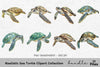 Realistic Sea Turtle Clipart Bundle