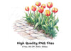 Red and Yellow Tulip Path Clipart Bundle