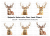 Majestic Deer Head Clipart Bundle