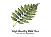 Green Fern and Branch Clipart Bundle