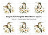 Hummingbird with White Flowers Clipart Bundle