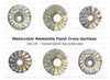 Ammonite Fossil Shells Clipart Bundle