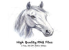 Beautiful White Horse Head Clipart Bundle