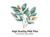 Leaf Clipart Bundle