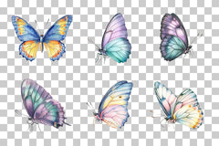 Colorful Butterfly Clipart Bundle - CraftNest - Digital Crafting and Art