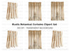 Elegant Lace Curtains Clipart Bundle
