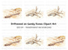 Driftwood on Sandy Beach Clipart Bundle