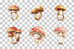 Fairy Mushroom Ring Clipart Bundle - CraftNest - Digital Crafting and Art