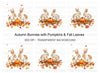Autumn Bunnies and Pumpkins Clipart Bundle
